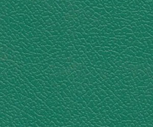 羽毛球?qū)I(yè)型祥云紋