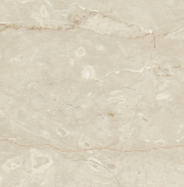 尚高（石紋 白）